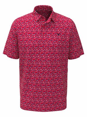 Boys Americana Print Polo